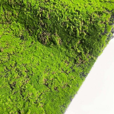 Искусственный мох в рулоне. Дизайн MPA06381